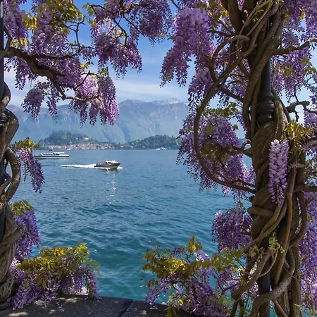 Garibaldi View Apartment *